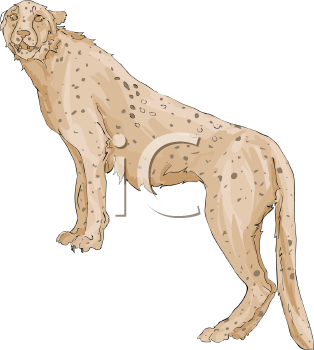 Big Cat Clipart