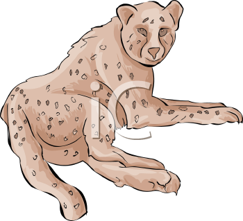 Big Cat Clipart