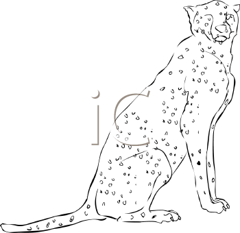Big Cat Clipart
