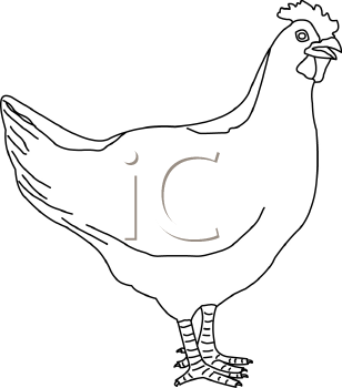 Farm Animal Clipart