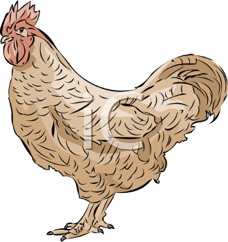 Farm Animal Clipart