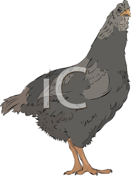Farm Animal Clipart