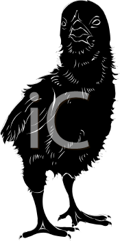 Farm Animal Clipart