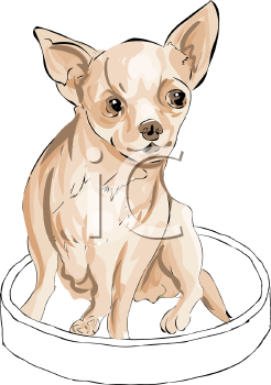 Pet Clipart