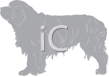 Pet Clipart