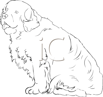 Dog Clipart