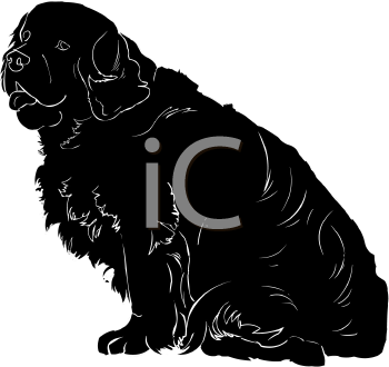 Pet Clipart