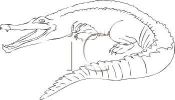 Reptile Clipart