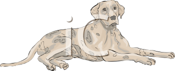 Pet Clipart