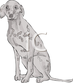 Pet Clipart
