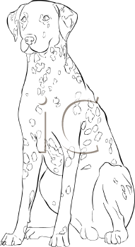 Pet Clipart