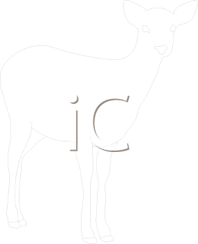 Deer Clipart