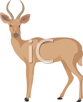 Deer Clipart