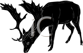 Deer Clipart