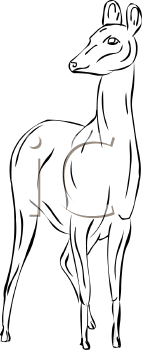 Deer Clipart