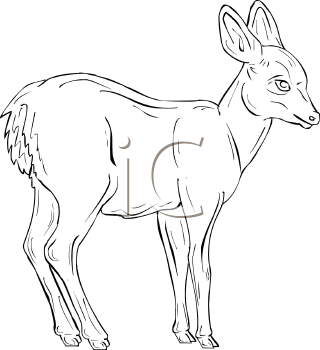 Deer Clipart