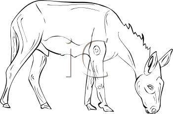 Farm Animal Clipart