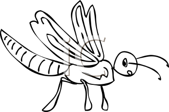 Insect Clipart