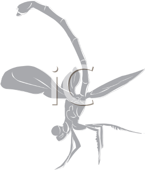 Free+dragonfly+artwork
