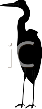 Bird Clipart