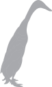 Bird Clipart