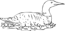 Bird Clipart