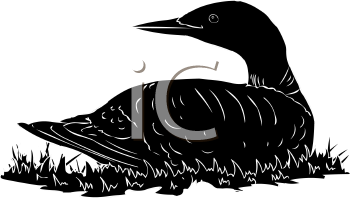 Bird Clipart