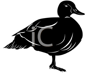 Farm Animal Clipart