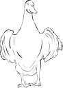 Bird Clipart