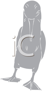 Bird Clipart