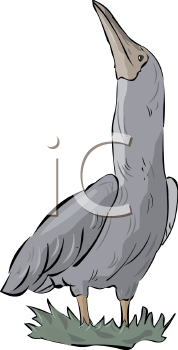 Bird Clipart