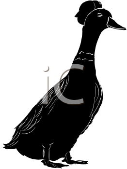 Bird Clipart