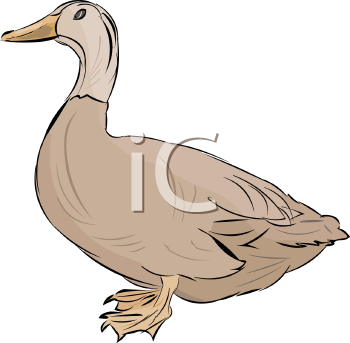 Farm Animal Clipart