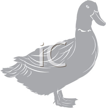 Bird Clipart