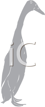 Farm Animal Clipart