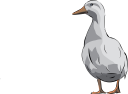 Bird Clipart