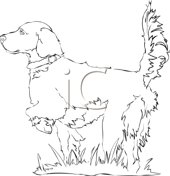 Pet Clipart