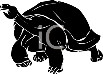 Reptile Clipart