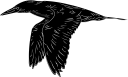 Bird Clipart