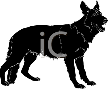 Pet Clipart