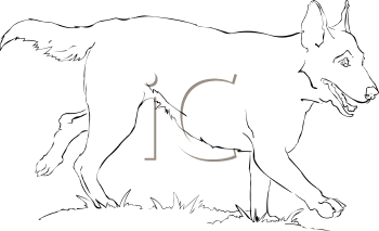 Dog Clipart
