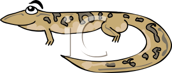 Lizard Clipart