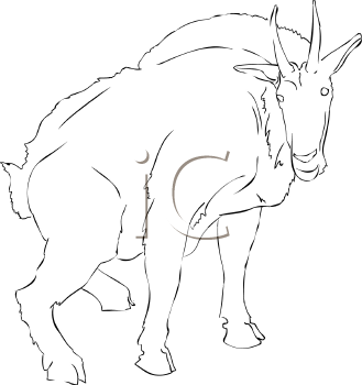 Farm Animal Clipart