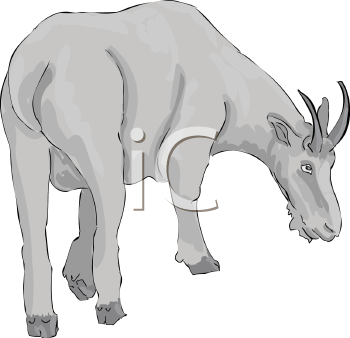 Farm Animal Clipart