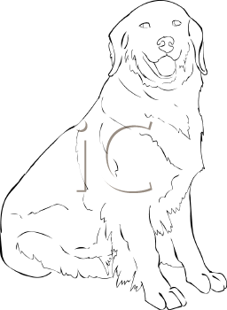 Pet Clipart