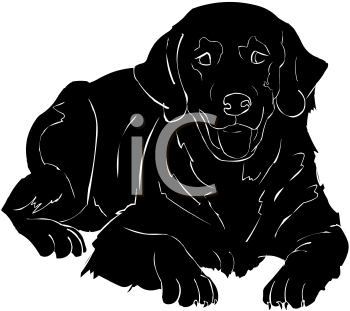 Pet Clipart