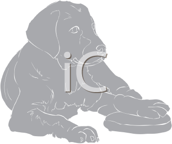 Pet Clipart