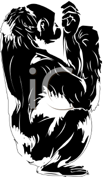 Primate Clipart