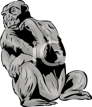 Primate Clipart