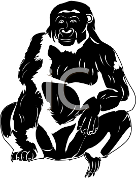 Primate Clipart